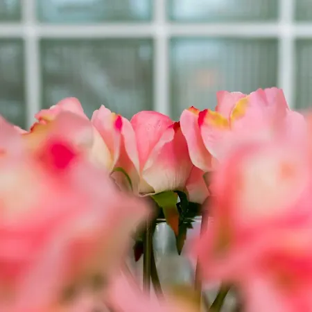 Eva Sunset View Teracce Апартаменты *