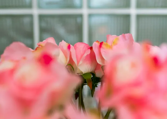 Eva Sunset View Teracce Apartman *